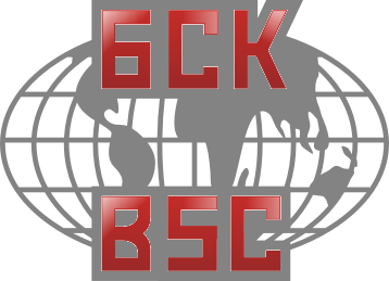 «БизнесСтройКонсалт»